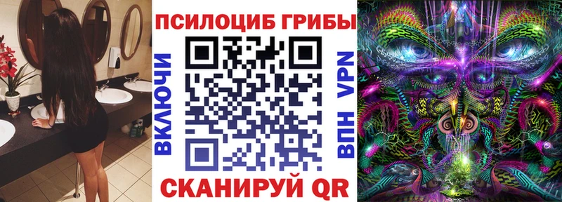 блэк спрут   Динская  Псилоцибиновые грибы Magic Shrooms 